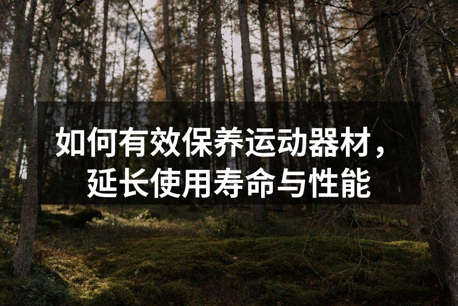 如何有效保养运动器材，延长使用寿命与性能